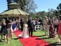 wedding-at-Nurragingy-Reserve-Wedding