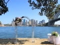 Harbour-wedding