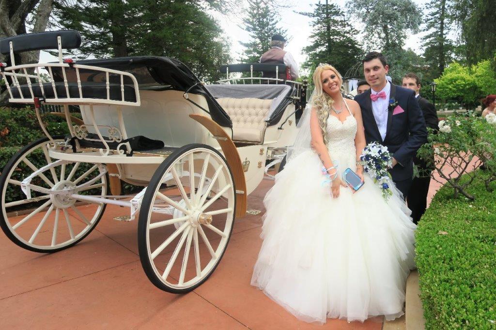 Horse and carriage wedding