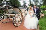 Horse and carriage wedding