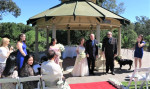 Nurragingy-Reserve-Wedding