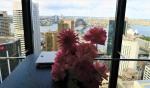 sydney-city-wedding-venues