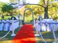 Auburn botanic gardens weddings