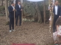 The chuppah in the forest