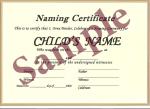 Naming certificate