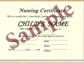 Naming certificate