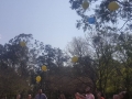 ballon release ceremony