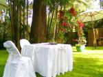 marriage ceremony in seaforth