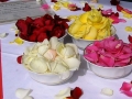 silk rose petals for naming ceremony