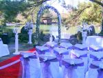 Wedding ceremony Botanic gardens Auburn Sydney