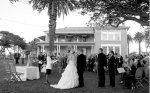Watsons Bay wedding celebrant under the fig tree