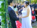 Sydney wedding celebrant