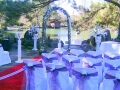 Wedding ceremony Botanic gardens Auburn Sydney