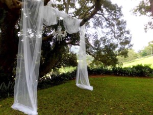 wedding arch on a tree