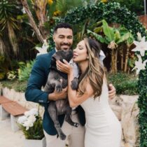 Dogs at weddings